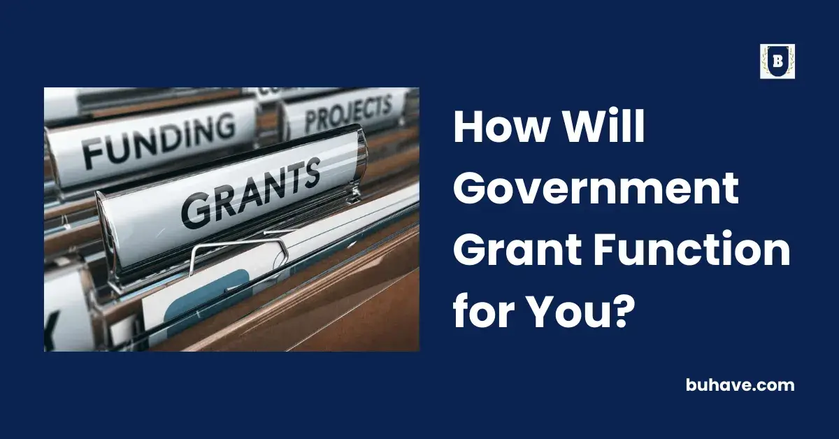 How Will Government Grant Function for You