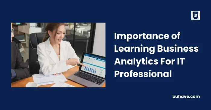 Importance of Learning Business Analytics For IT Professional