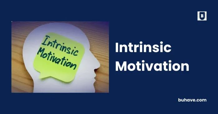 Intrinsic Motivation