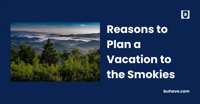 Reasons to Plan a Vacation to the Smokies