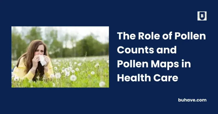 The Role of Pollen Counts and Pollen Maps in Health Care