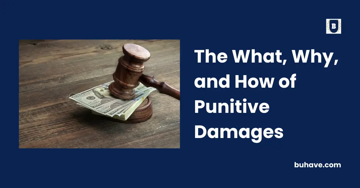 The What, Why, and How of Punitive Damages