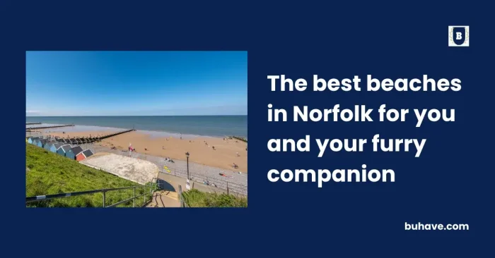 The best beaches in Norfolk for you and your furry companion