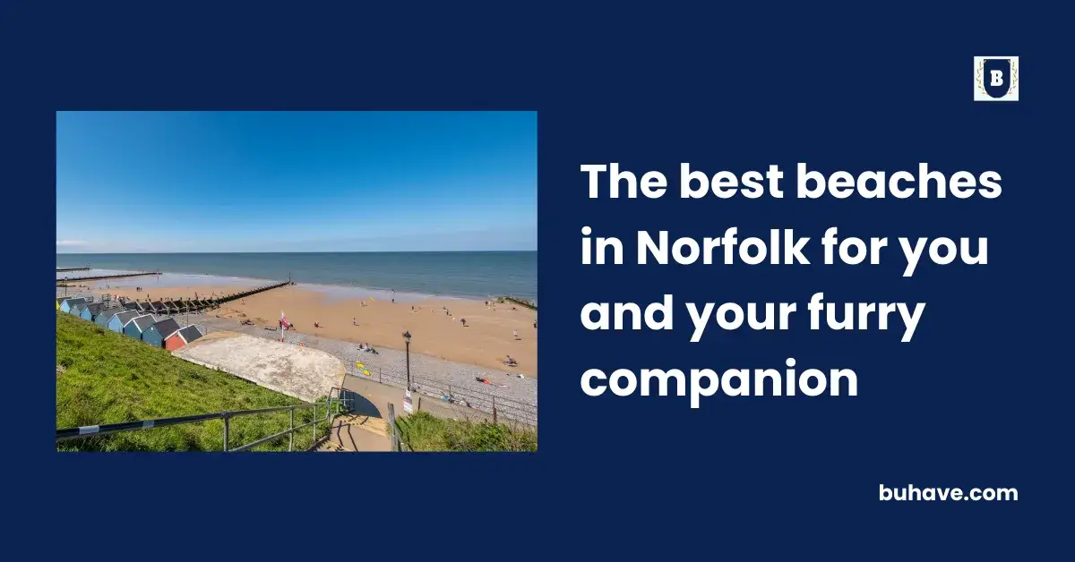 The best beaches in Norfolk for you and your furry companion