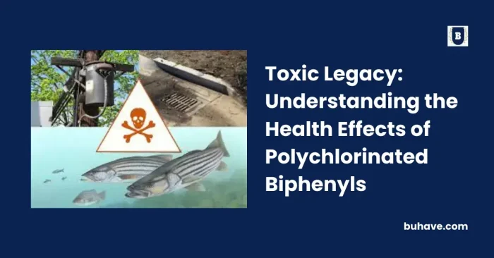 Toxic Legacy; Understanding The Health Effects Of Polychlorinated biphenyles