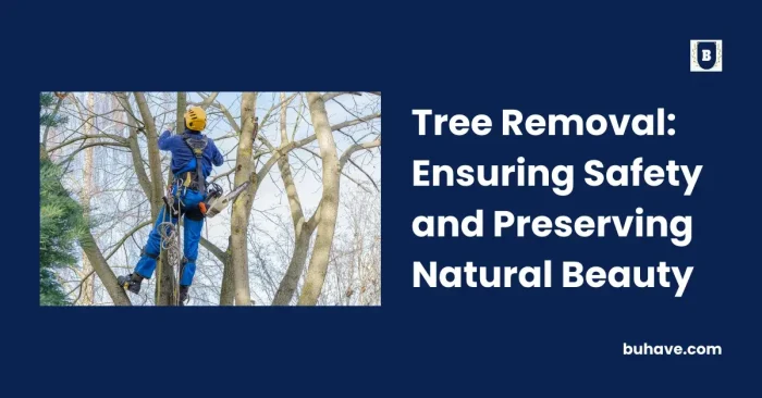 Tree Removal_ Ensuring Safety and Preserving Natural Beauty