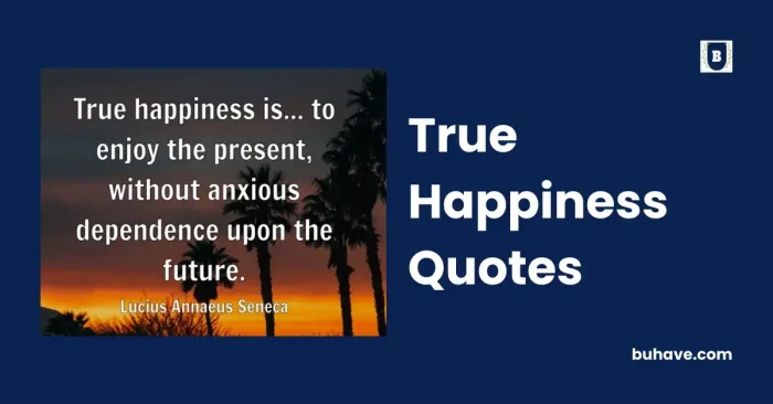 True Happiness Quotes buhave