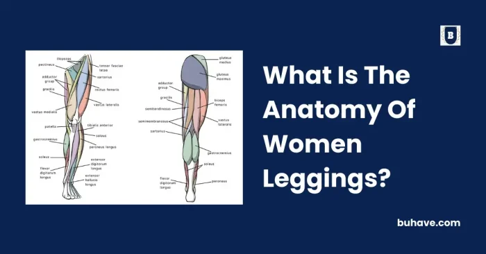 What Is The Anatomy Of Women Leggings