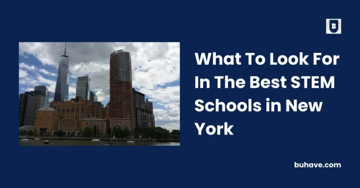 What To Look For In The Best STEM Schools in New York