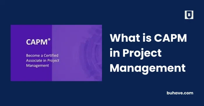 What is CAPM in Project Management