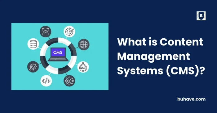 What is Content Management Systems (CMS)