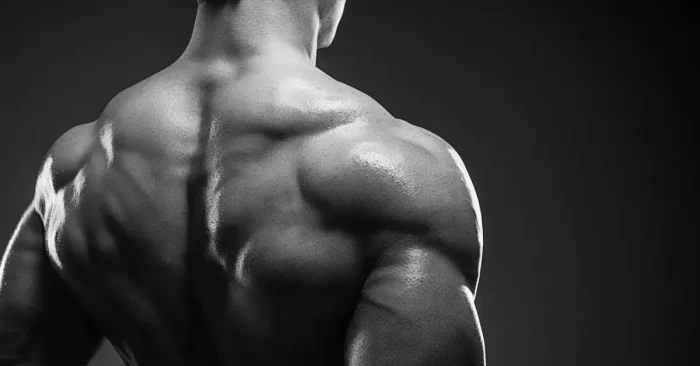 Protein Power How Much Do You Really Need for Muscle Growth