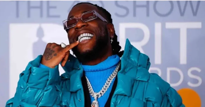 Burna Boy Biography