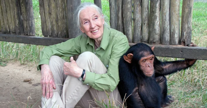 Jane Goodall Biography