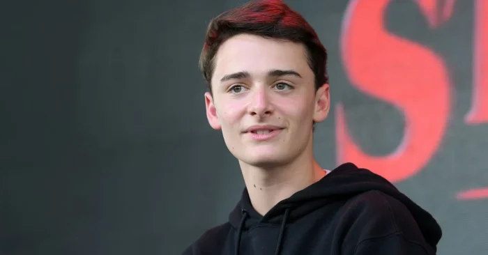 Noah Schnapp Biography