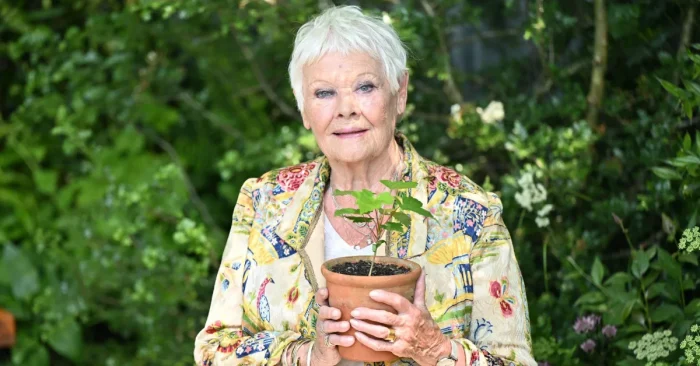 Judi Dench Biography