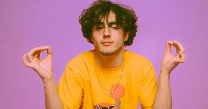 Alfie Templeman Biography