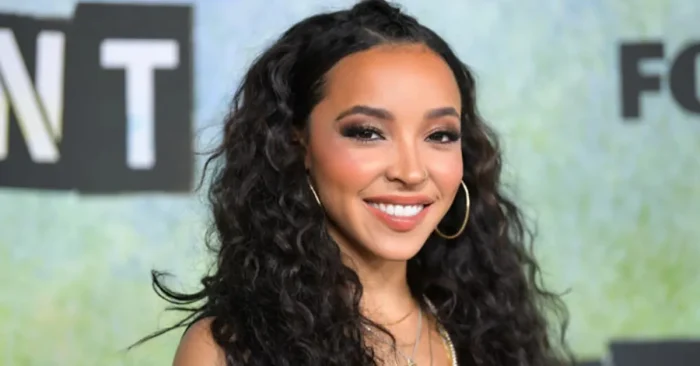 Tinashe Biography