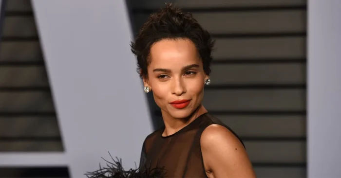 Zoe Kravitz Biography