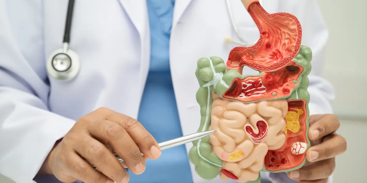 Detox & Digestive Support